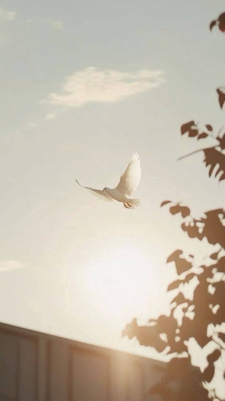 Mulher em momento de paz e reflexão